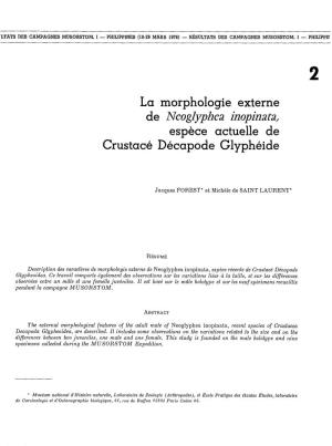 Morphologie Externe De NEOGLYPHEA INOPINATA, Espèce Actuelle De Crustacé Décapode Glyphéide