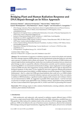Bridging Plant and Human Radiation Response and DNA Repair Through an in Silico Approach