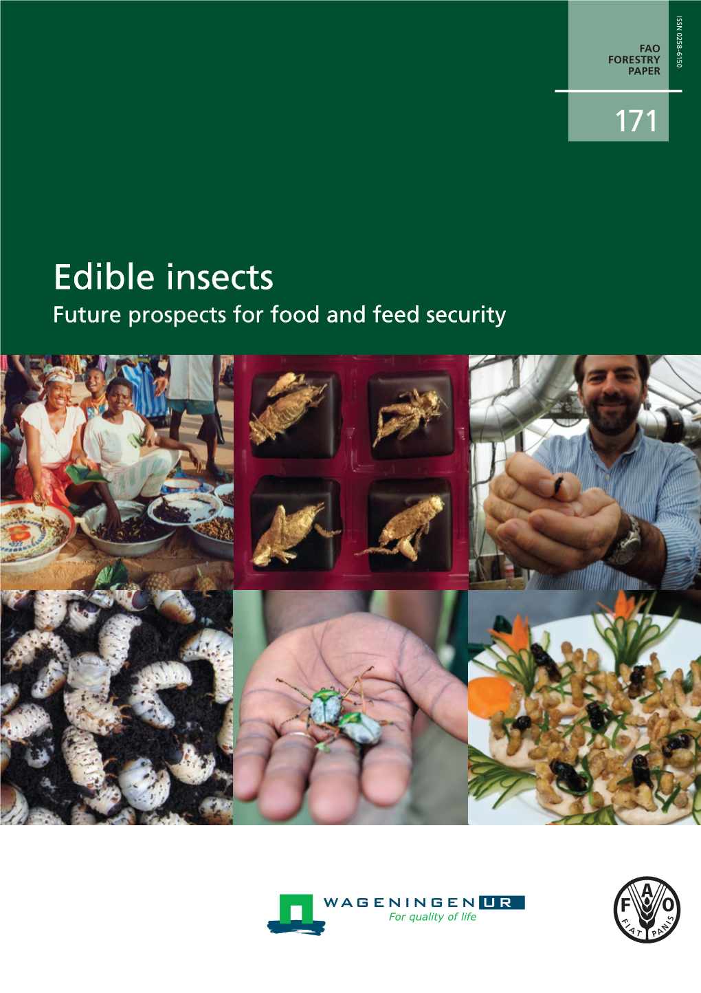 Edible Insects