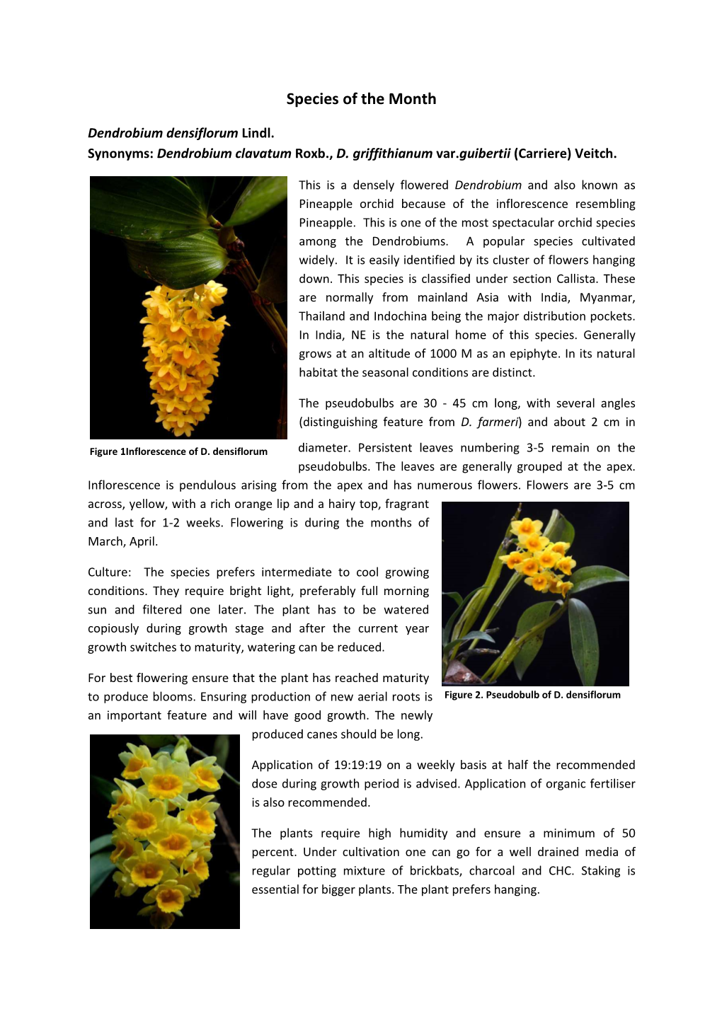 Species of the Month Dr Shashidhar March1