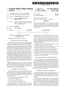 (12) United States Plant Patent (10) Patent No.: US PP14,026 P2 Dimmen (45) Date of Patent: Jul