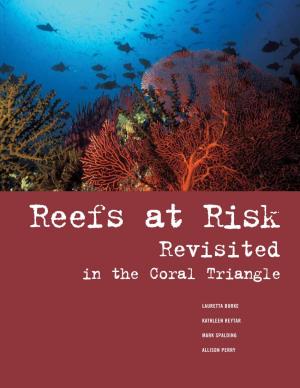 WRI) in Close Collaboration with the USAID-Funded Coral Triangle Support Partnership (CTSP)