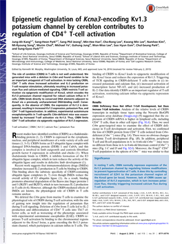 Epigenetic Regulation of Kcna3-Encoding Kv1.3 Potassium Channel by Cereblon Contributes to Regulation of CD4+ T-Cell Activation
