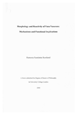 Morphology and Reactivity of Vasa Vasorum: Mechanisms And
