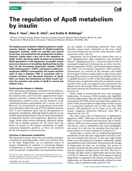 The Regulation of Apob Metabolism by Insulin