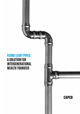 FIXING LEAKY PIPES: a SOLUTION for INTERGENERATIONAL WEALTH TRANSFER OVERVIEW HOW BIG IS the PROBLEM Whether We Like It Or Not, We’Re Getting Older