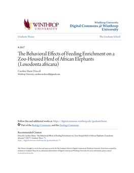 The Behavioral Effects of Feeding Enrichment on a Zoo-Housed Herd of African Elephants (Loxodonta Africana)