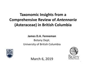 Taxonomic Insights from a Comprehensive Review of Antennaria (Asteraceae) in British Columbia