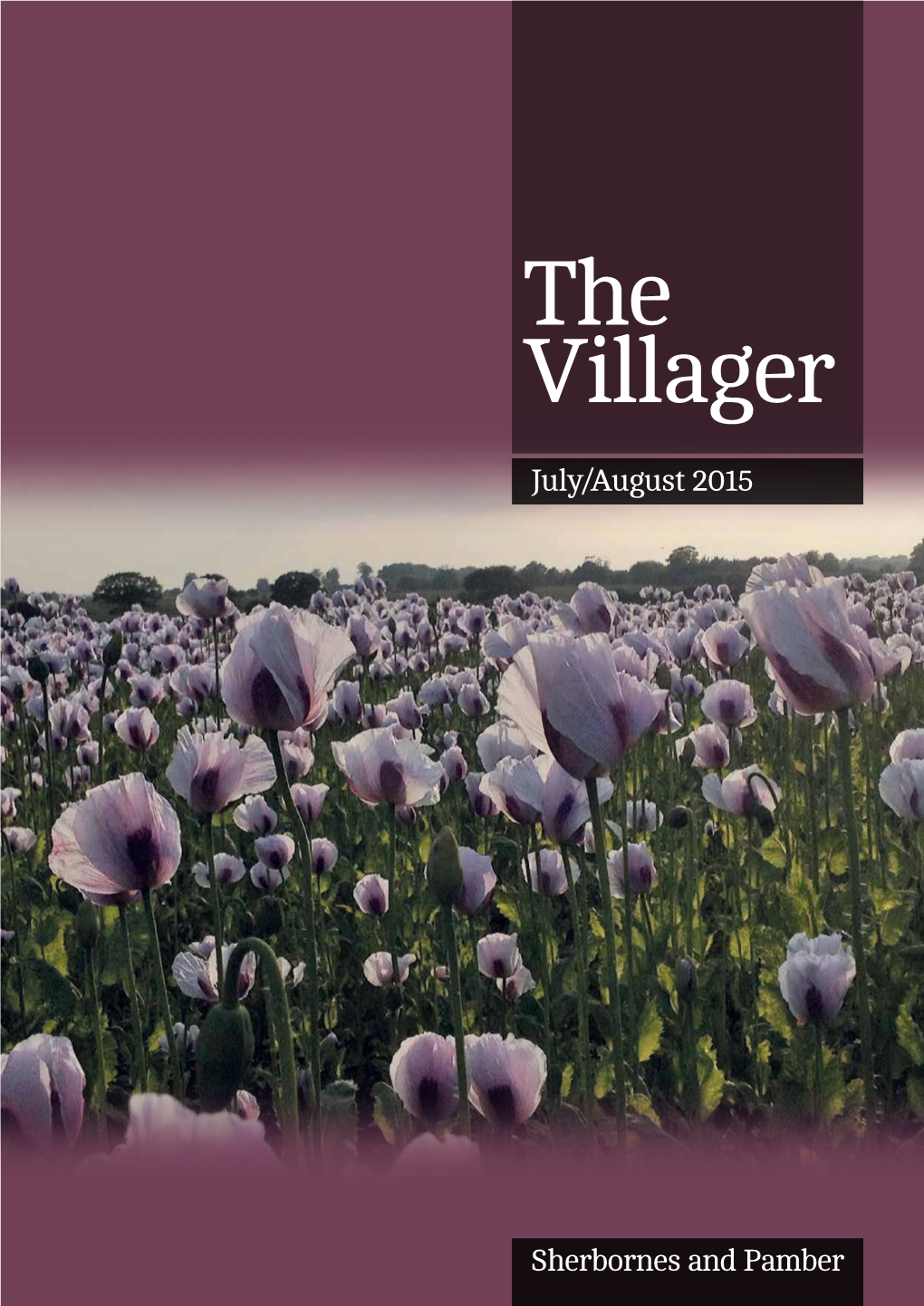 The Villager