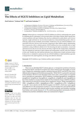 The Effects of SGLT2 Inhibitors on Lipid Metabolism