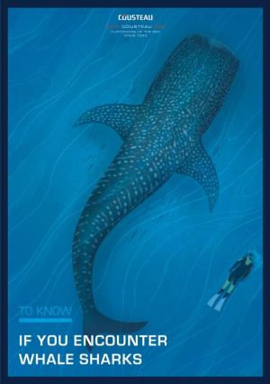 If You Encounter Whale Sharks to Know
