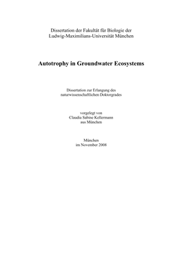 Autotrophy in Groundwater Ecosystems