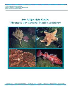 Sur Ridge Field Guide: Monterey Bay National Marine Sanctuary