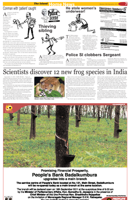 Scientists Discover 12 New Frog Species in India