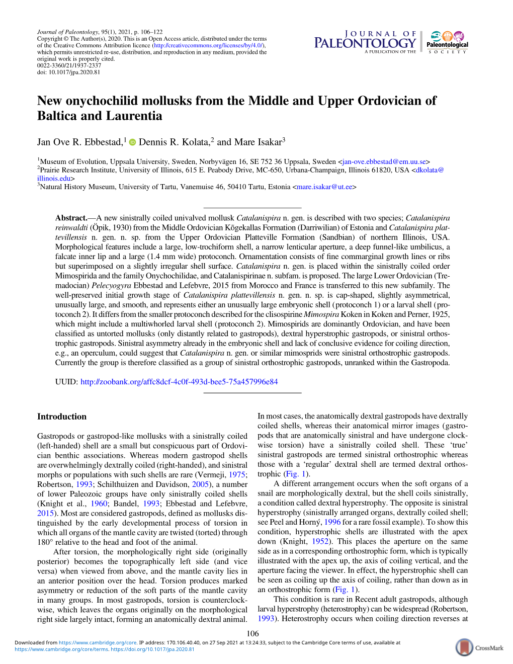 New Onychochilid Mollusks from the Middle and Upper Ordovician of Baltica and Laurentia