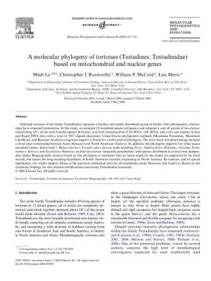 A Molecular Phylogeny of Tortoises (Testudines: Testudinidae) Based on Mitochondrial and Nuclear Genes