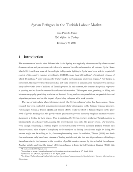 Syrian Refugees in the Turkish Labour Marketpdf