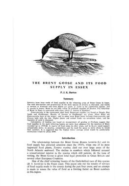 The Brent Goose and Its Food Supply in Essex