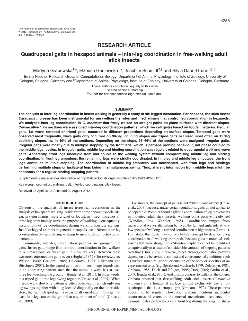 Inter-Leg Coordination in Free-Walking Adult Stick Insects