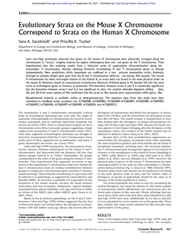 Evolutionary Strata on the Mouse X Chromosome Correspond to Strata on the Human X Chromosome Sara A