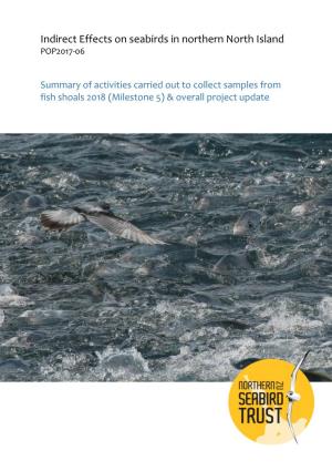 Indirect Effects on Seabirds in Northern North Island POP2017-06
