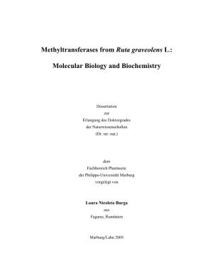 Methyltransferases from Ruta Graveolens L.: Molecular Biology