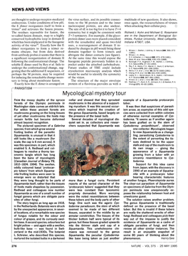 Mycological Mystery Tour