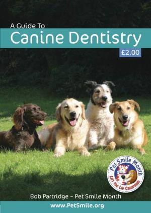 A Guide to Canine Dentistry £2.00