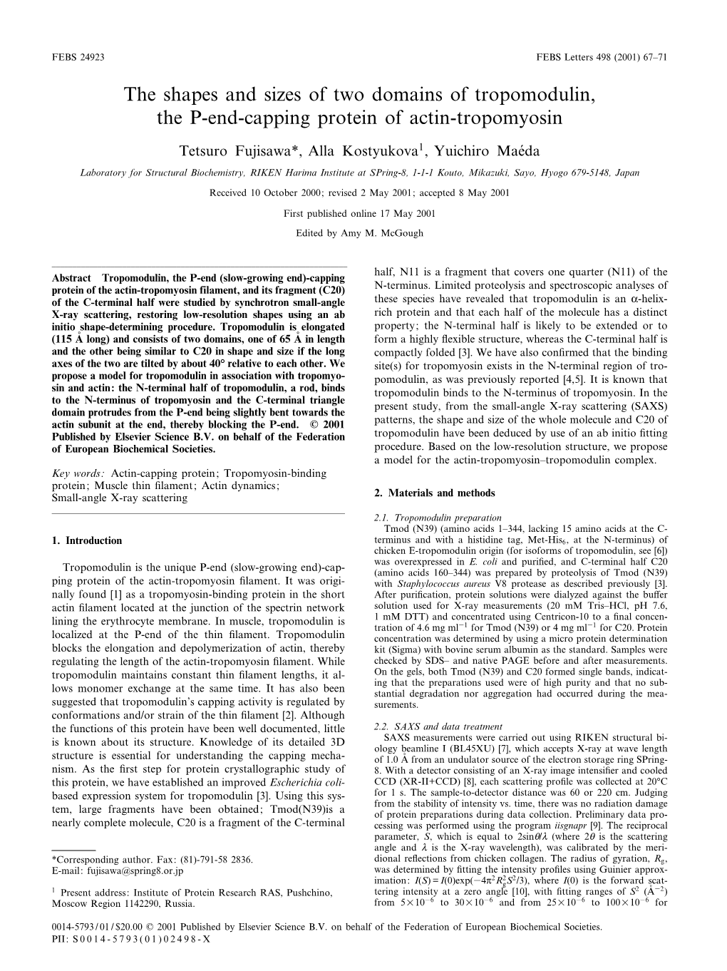 The Shapes and Sizes of Two Domains of Tropomodulin, the P-End-Capping Protein of Actin-Tropomyosin