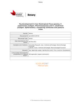Fig Development in Two Neotropical Ficus Species, F. Yoponensis (Subgen