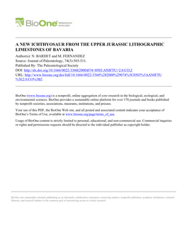 A NEW ICHTHYOSAUR from the UPPER JURASSIC LITHOGRAPHIC LIMESTONES of BAVARIA Author(S): N