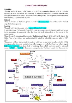 Krebs (Citric Acid) Cycle
