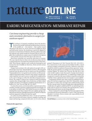 Eardrum Regeneration: Membrane Repair