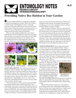 Providing Native Bee Habitat in Your Garden