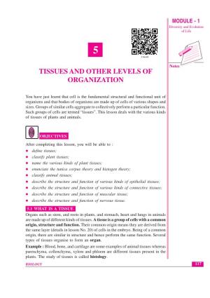 Tissues and Other Levels of Organization MODULE - 1 Diversity and Evolution of Life