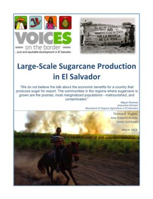 Large-Scale Sugarcane Production in El Salvador