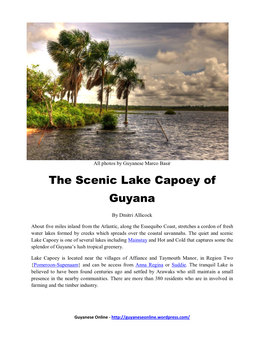 The Scenic Lake Capoey of Guyana