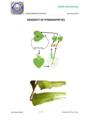 Diversity of Pteridophytes