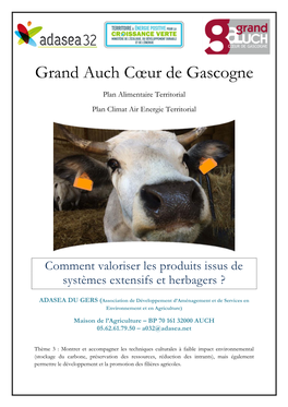 Grand Auch Cœur De Gascogne