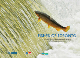 Fishes of Toronto