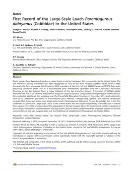 First Record of the Large-Scale Loach Paramisgurnus Dabryanus (Cobitidae) in the United States