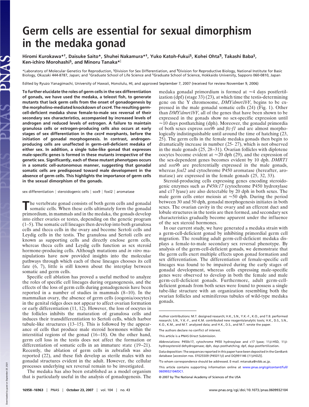 Germ Cells Are Essential for Sexual Dimorphism in the Medaka Gonad