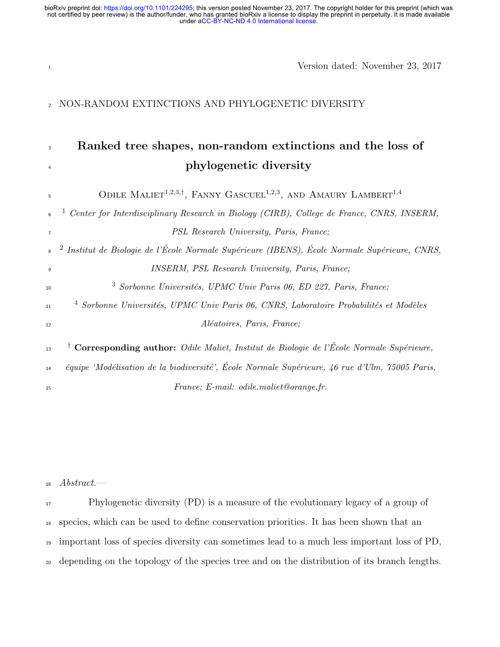 Ranked Tree Shapes, Non-Random Extinctions and the Loss Of