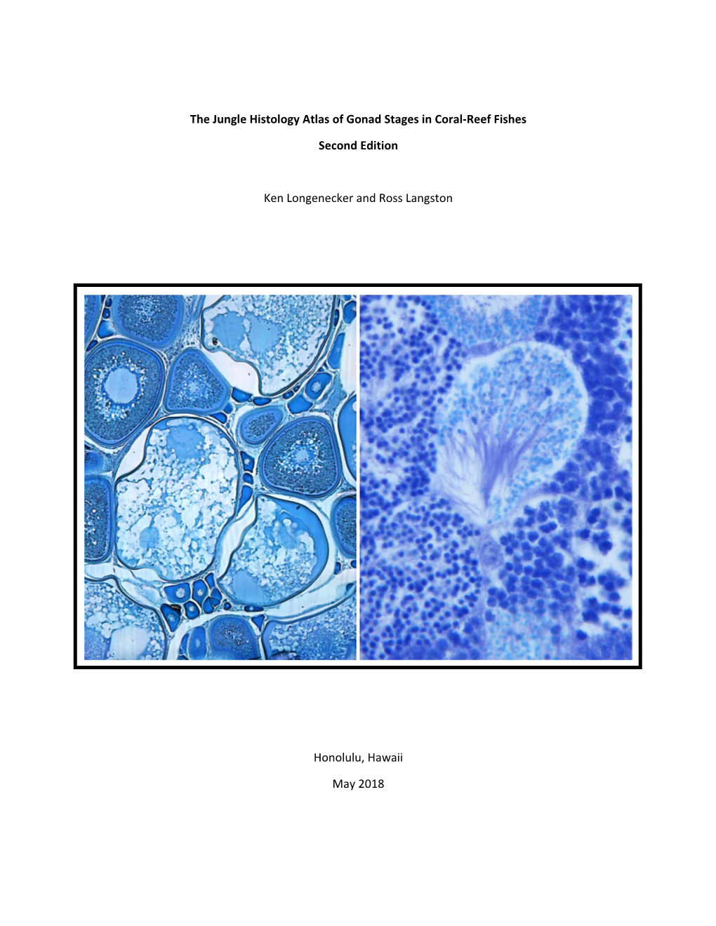 The Jungle Histology Atlas of Gonad Stages in Coral‐Reef Fishes