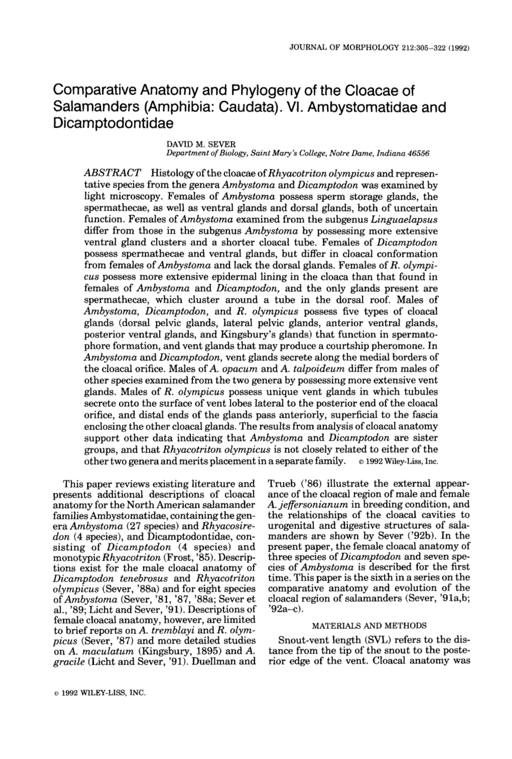 Comparative Anatomy and Phylogeny of the Cloacae of Salamanders (Amphibia: Caudata)