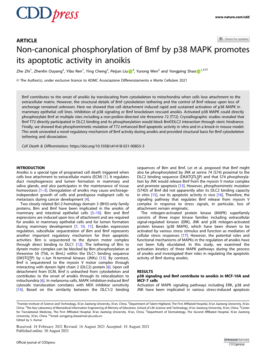 Non-Canonical Phosphorylation of Bmf by P38 MAPK Promotes Its