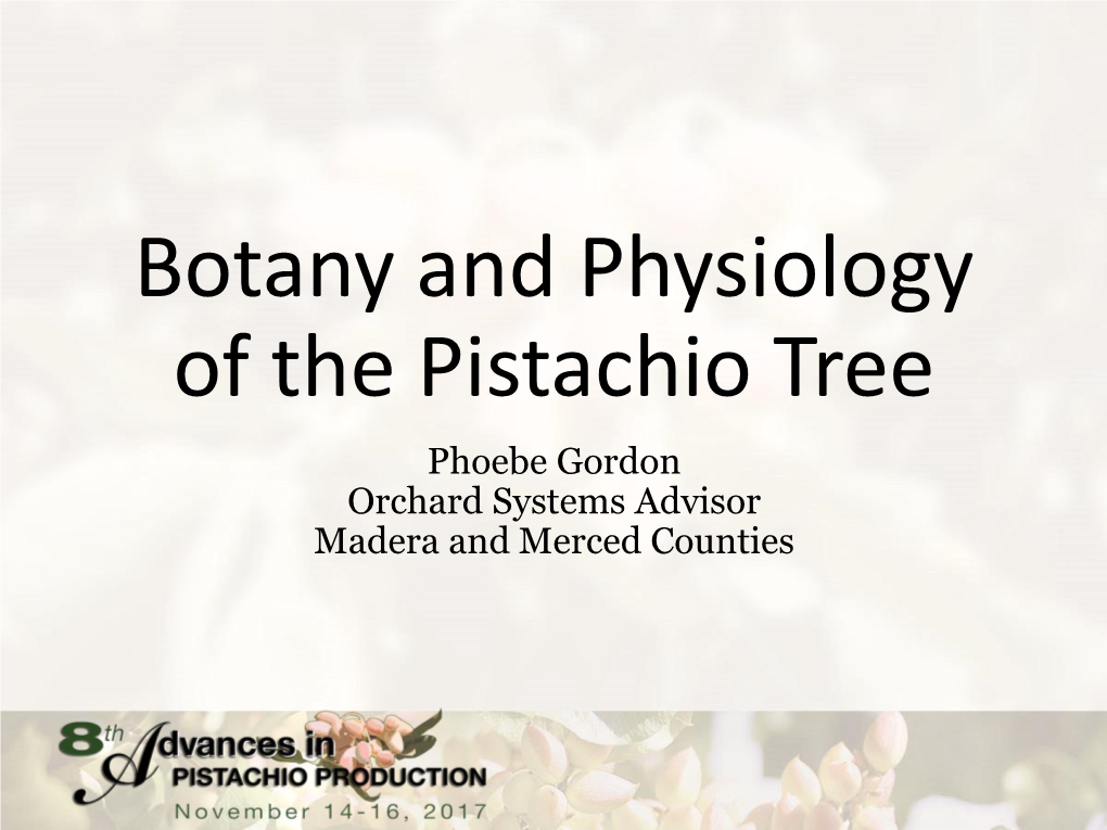 Botany and Physiology of the Pistachio Tree Phoebe Gordon Orchard Systems Advisor Madera and Merced Counties Outline