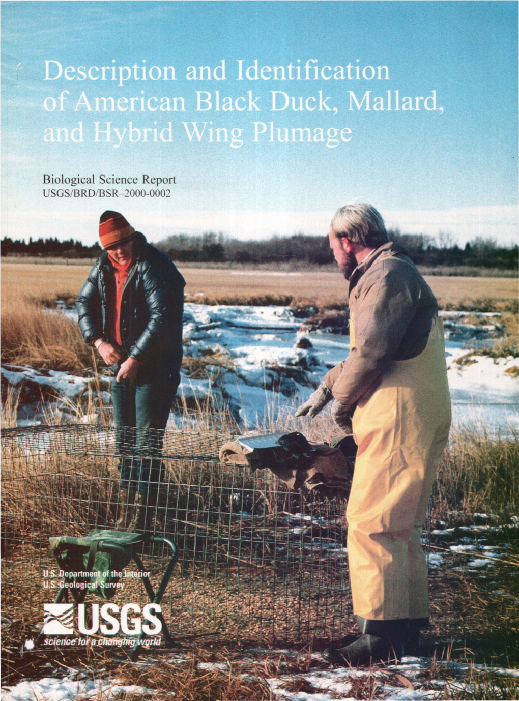 Description and Identification of American Black Duck, Mallard, and Hybrid Wing Plumage