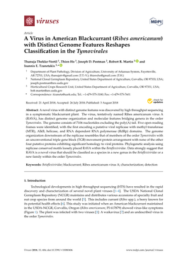 Ribes Americanum) with Distinct Genome Features Reshapes Classiﬁcation in the Tymovirales