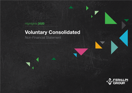 Voluntary Consolidated Non-Financial Statement the Group